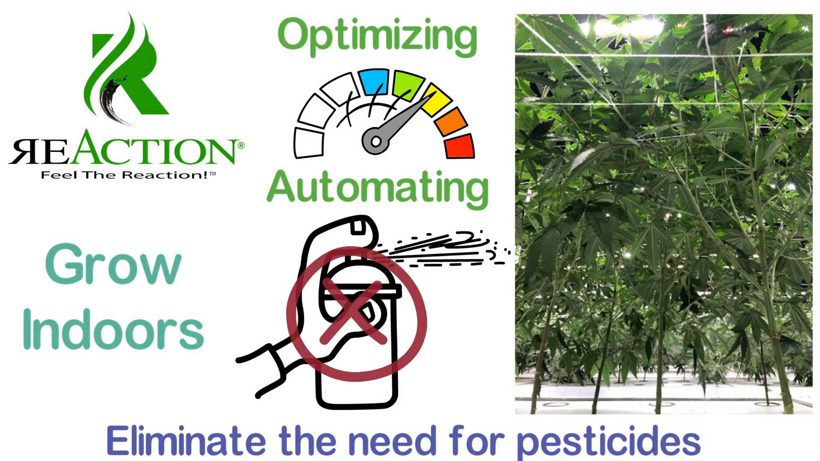 Aeroponic Cultivation Animation